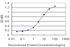 SLC6A4 / SERT Antibody - Detection limit for recombinant GST tagged SLC6A4 is approximately 0.3 ng/ml as a capture antibody.