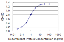 SLC7A1 / CAT1 Antibody - Detection limit for recombinant GST tagged SLC7A1 is 0.03 ng/ml as a capture antibody.
