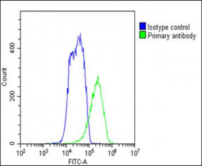 SLC7A8 / LAT2 Antibody - Overlay histogram showing HepG2 cells stained with SLC7A8 Antibody (C-Term) (green line). The cells were fixed with 2% paraformaldehyde 10 min. The cells were then icubated in 2% bovine serum albumin to block non-specific protein-protein interactions followed by the antibody (SLC7A8 Antibody (C-Term), 1:25 dilution) for 60 min at 37°C. The secondary antibody used was Goat-Anti-Rabbit IgG, DyLight® 488 Conjugated Highly Cross-Adsorbed (1583138) at 1/200 dilution for 40 min at 37°C. Isotype control antibody (blue line) was rabbit IgG1 (1µg/1x10^6 cells) used under the same conditions. Acquisition of >10, 000 events was performed.