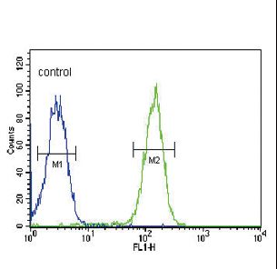 SLC9A3R1 / NHERF1 / EBP50 Antibody - SLC9A3R1 Antibody flow cytometry of MDA-MB435 cells (right histogram) compared to a negative control cell (left histogram). FITC-conjugated goat-anti-rabbit secondary antibodies were used for the analysis.