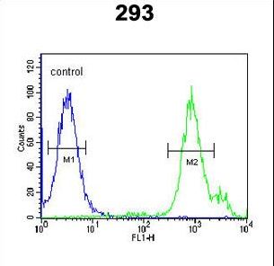 SLC9A9 / NHE9 Antibody - SLC9A9 Antibody flow cytometry of 293 cells (right histogram) compared to a negative control cell (left histogram). FITC-conjugated goat-anti-rabbit secondary antibodies were used for the analysis.