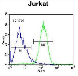 SLFN12L Antibody - SLFN12L Antibody flow cytometry of Jurkat cells (right histogram) compared to a negative control cell (left histogram). FITC-conjugated goat-anti-rabbit secondary antibodies were used for the analysis.