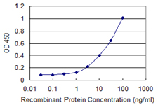 SLPI / Antileukoproteinase Antibody - Detection limit for recombinant GST tagged SLPI is 0.3 ng/ml as a capture antibody.