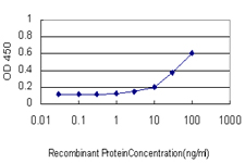 SMAD1 Antibody - Detection limit for recombinant GST tagged SMAD1 is approximately 3 ng/ml as a capture antibody.