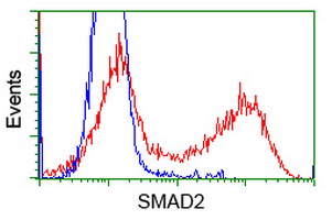 SMAD2 Antibody - HEK293T cells transfected with either overexpress plasmid (Red) or empty vector control plasmid (Blue) were immunostained by anti-SMAD2 antibody, and then analyzed by flow cytometry.