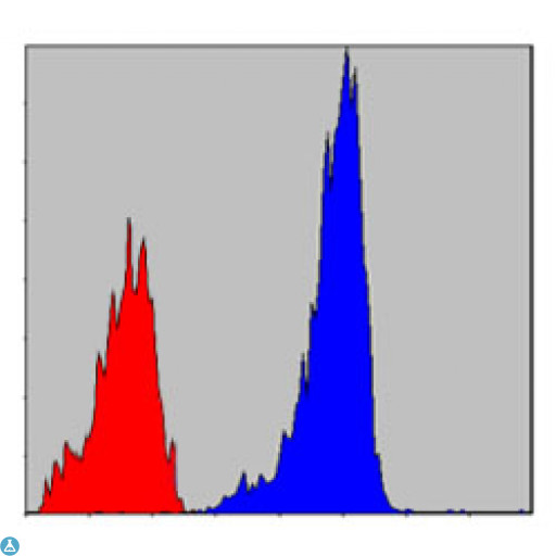 SMAD2 Antibody - Flow cytometric (FCM) analysis of NIH/3T3 cells using Smad2 Monoclonal Antibody (blue) and negative control (red).