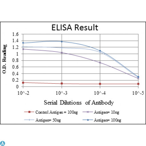 SMAD2 Antibody - ELISA analysis of Smad2 antibody.