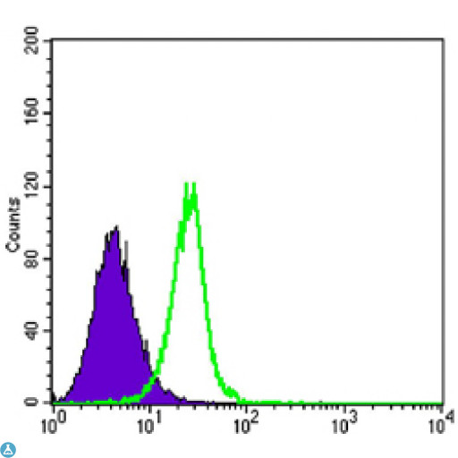 SMAD4 Antibody - Flow cytometric (FCM) analysis of K562 cells using Smad4 Monoclonal Antibody (green) and negative control (purple).