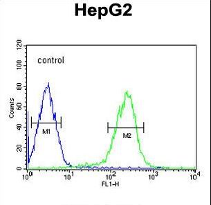 SMAD6 Antibody - SMAD6 Antibody flow cytometry of HepG2 cells (right histogram) compared to a negative control cell (left histogram). FITC-conjugated goat-anti-rabbit secondary antibodies were used for the analysis.