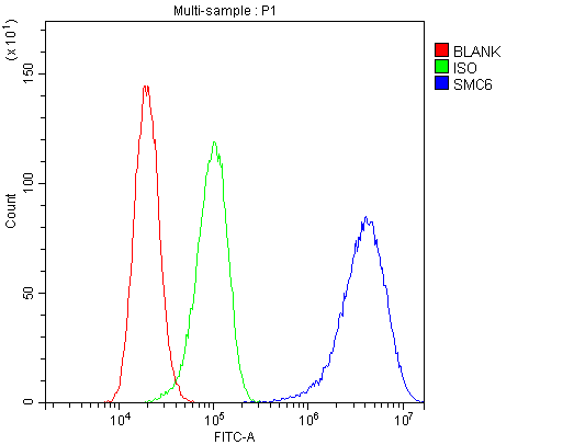 SMC6 Antibody - Flow Cytometry analysis of A431 cells using anti-SMC6L1 antibody. Overlay histogram showing A431 cells stained with anti-SMC6L1 antibody (Blue line). The cells were blocked with 10% normal goat serum. And then incubated with rabbit anti-SMC6L1 Antibody  (1µg/10E6 cells) for 30 min at 20°C. DyLight®488 conjugated goat anti-rabbit IgG (5-10µg/10E6 cells) was used as secondary antibody for 30 minutes at 20°C. Isotype control antibody (Green line) was rabbit IgG (1µg/10E6 cells) used under the same conditions. Unlabelled sample (Red line) was also used as a control.