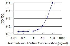 SMCP Antibody - Detection limit for recombinant GST tagged SMCP is 1 ng/ml as a capture antibody.