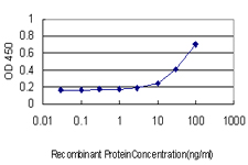 SMPD2 Antibody - Detection limit for recombinant GST tagged SMPD2 is approximately 10 ng/ml as a capture antibody.