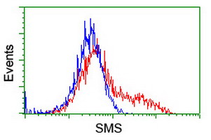 SMS / Spermine Synthase Antibody - HEK293T cells transfected with either overexpress plasmid (Red) or empty vector control plasmid (Blue) were immunostained by anti-SMS antibody, and then analyzed by flow cytometry.