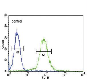 SMS / Spermine Synthase Antibody - SMS Antibody flow cytometry of HeLa cells (right histogram) compared to a negative control cell (left histogram). FITC-conjugated goat-anti-rabbit secondary antibodies were used for the analysis.