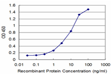 SNAI2 / SLUG Antibody - Detection limit for recombinant GST tagged SNAI2 is approximately 0.3 ng/ml as a capture antibody.