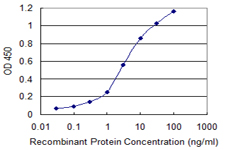 SNAP25 Antibody - Detection limit for recombinant GST tagged SNAP25 is 0.03 ng/ml as a capture antibody.