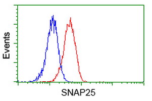 SNAP25 Antibody - Flow cytometry of Jurkat cells, using anti-SNAP25 antibody (Red), compared to a nonspecific negative control antibody (Blue).
