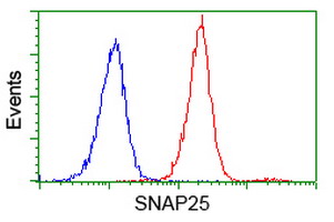 SNAP25 Antibody - Flow cytometry of Jurkat cells, using anti-SNAP25 antibody (Red), compared to a nonspecific negative control antibody (Blue).