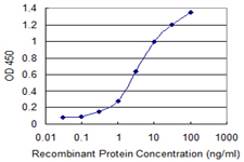 SNCA / Alpha-Synuclein Antibody - Detection limit for recombinant GST tagged SNCA is 0.1 ng/ml as a capture antibody.