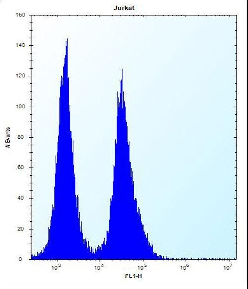 SNIP1 Antibody - SNIP1 Antibody flow cytometry of Jurkat cells (right histogram) compared to a negative control cell (left histogram). FITC-conjugated donkey-anti-rabbit secondary antibodies were used for the analysis.