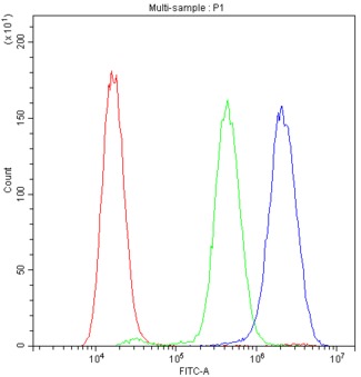 SNK / PLK2 Antibody - Flow Cytometry analysis of A549 cells using anti-PLK2 antibody. Overlay histogram showing A549 cells stained with anti-PLK2 antibody (Blue line). The cells were blocked with 10% normal goat serum. And then incubated with rabbit anti-PLK2 Antibody (1µg/10E6 cells) for 30 min at 20°C. DyLight®488 conjugated goat anti-rabbit IgG (5-10µg/10E6 cells) was used as secondary antibody for 30 minutes at 20°C. Isotype control antibody (Green line) was rabbit IgG (1µg/10E6 cells) used under the same conditions. Unlabelled sample (Red line) was also used as a control.