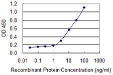 SNTB2 Antibody - Detection limit for recombinant GST tagged SNTB2 is 0.3 ng/ml as a capture antibody.