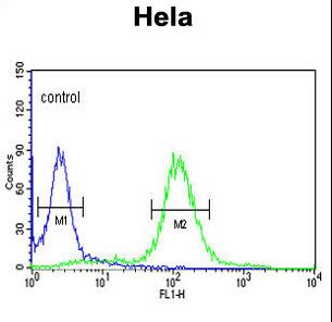 SNURF Antibody - SNURF Antibody flow cytometry of HeLa cells (right histogram) compared to a negative control cell (left histogram). FITC-conjugated goat-anti-rabbit secondary antibodies were used for the analysis.