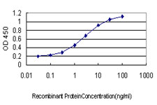 SNX1 Antibody - Detection limit for recombinant GST tagged SNX1 is approximately 0.03 ng/ml as a capture antibody.