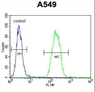 SNX24 Antibody - SNX24 Antibody flow cytometry of A549 cells (right histogram) compared to a negative control cell (left histogram). FITC-conjugated goat-anti-rabbit secondary antibodies were used for the analysis.