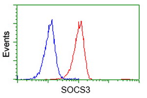 SOCS3 Antibody - Flow cytometry of Jurkat cells, using anti-SOCS3 antibody (Red), compared to a nonspecific negative control antibody (Blue).
