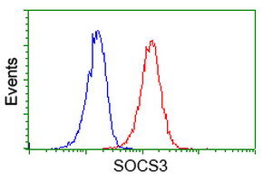 SOCS3 Antibody - Flow cytometry of Jurkat cells, using anti-SOCS3 antibody (Red), compared to a nonspecific negative control antibody (Blue).