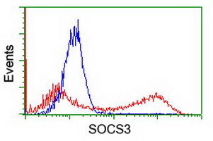 SOCS3 Antibody - HEK293T cells transfected with either overexpress plasmid (Red) or empty vector control plasmid (Blue) were immunostained by anti-SOCS3 antibody, and then analyzed by flow cytometry.