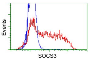 SOCS3 Antibody - HEK293T cells transfected with either overexpress plasmid (Red) or empty vector control plasmid (Blue) were immunostained by anti-SOCS3 antibody, and then analyzed by flow cytometry.