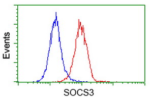 SOCS3 Antibody - Flow cytometry of HeLa cells, using anti-SOCS3 antibody (Red), compared to a nonspecific negative control antibody (Blue).