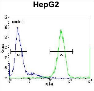 SOHLH1 Antibody - SOHLH1 Antibody flow cytometry of HepG2 cells (right histogram) compared to a negative control cell (left histogram). FITC-conjugated goat-anti-rabbit secondary antibodies were used for the analysis.