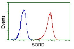 SORD / Sorbitol Dehydrogenase Antibody - Flow cytometry of Jurkat cells, using anti-SORD antibody, (Red) compared to a nonspecific negative control antibody (Blue).