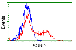 SORD / Sorbitol Dehydrogenase Antibody - HEK293T cells transfected with either pCMV6-ENTRY SORD (Red) or empty vector control plasmid (Blue) were immunostained with anti-SORD mouse monoclonal(Dilution 1:1,000), and then analyzed by flow cytometry.