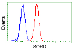 SORD / Sorbitol Dehydrogenase Antibody - Flow cytometric analysis of Hela cells, using anti-SORD antibody, (Red) compared to a nonspecific negative control antibody (Blue).