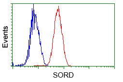 SORD / Sorbitol Dehydrogenase Antibody - Flow cytometric analysis of Jurkat cells, using anti-SORD antibody, (Red) compared to a nonspecific negative control antibody (Blue).