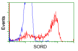 SORD / Sorbitol Dehydrogenase Antibody - HEK293T cells transfected with either pCMV6-ENTRY SORD (Red) or empty vector control plasmid (Blue) were immunostained with anti-SORD mouse monoclonal, and then analyzed by flow cytometry.