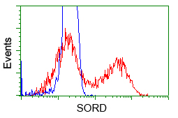 SORD / Sorbitol Dehydrogenase Antibody - HEK293T cells transfected with either pCMV6-ENTRY SORD (Red) or empty vector control plasmid (Blue) were immunostained with anti-SORD mouse monoclonal, and then analyzed by flow cytometry.