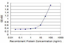 SORL1 Antibody - Detection limit for recombinant GST tagged SORL1 is approximately 3 ng/ml as a capture antibody.