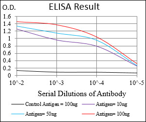SOX10 Antibody - Red: Control Antigen (100ng); Purple: Antigen (10ng); Green: Antigen (50ng); Blue: Antigen (100ng);