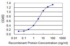 SOX12 Antibody - Detection limit for recombinant GST tagged SOX12 is 0.1 ng/ml as a capture antibody.