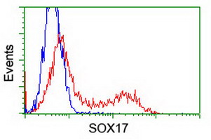 SOX17 Antibody - HEK293T cells transfected with either overexpress plasmid (Red) or empty vector control plasmid (Blue) were immunostained by anti-SOX17 antibody, and then analyzed by flow cytometry.