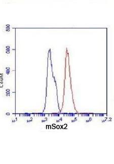 SOX2 Antibody - Flow Cytometry analysis of F9 cells stained with Sox2 (red, 1:100 dilution), followed by FITC-conjugated goat anti-mouse IgG. Blue line histogram represents the isotype control, normal mouse IgG.