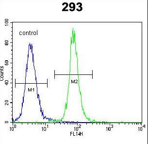 SOX2 Antibody - SOX2 Antibody flow cytometry of 293 cells (right histogram) compared to a negative control cell (left histogram). FITC-conjugated goat-anti-rabbit secondary antibodies were used for the analysis.