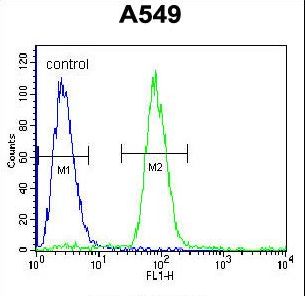 SOX3 Antibody - SOX3 Antibody (Center P204) flow cytometry of A549 cells (right histogram) compared to a negative control cell (left histogram). FITC-conjugated goat-anti-rabbit secondary antibodies were used for the analysis.