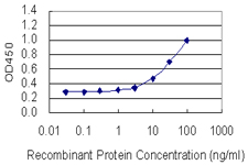 SOX5 Antibody - Detection limit for recombinant GST tagged SOX5 is 1 ng/ml as a capture antibody.