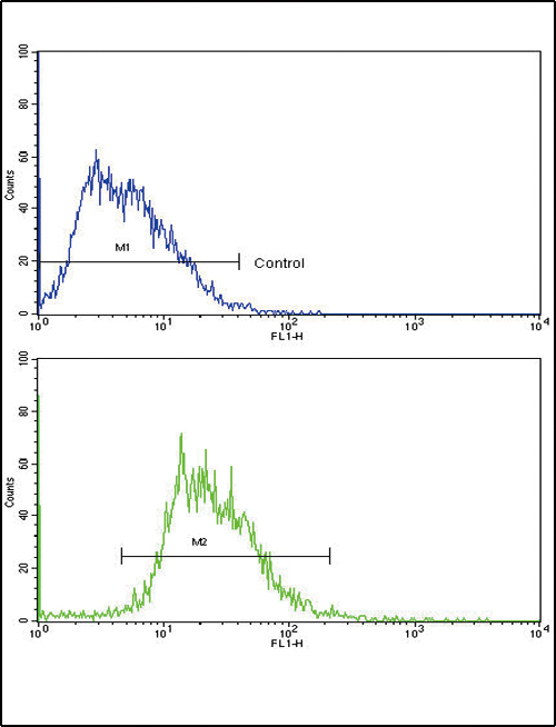 SOX9 Antibody - Flow cytometric of HepG2 cells using SOX9 Antibody (bottom histogram) compared to a negative control cell (top histogram). FITC-conjugated goat-anti-rabbit secondary antibodies were used for the analysis.